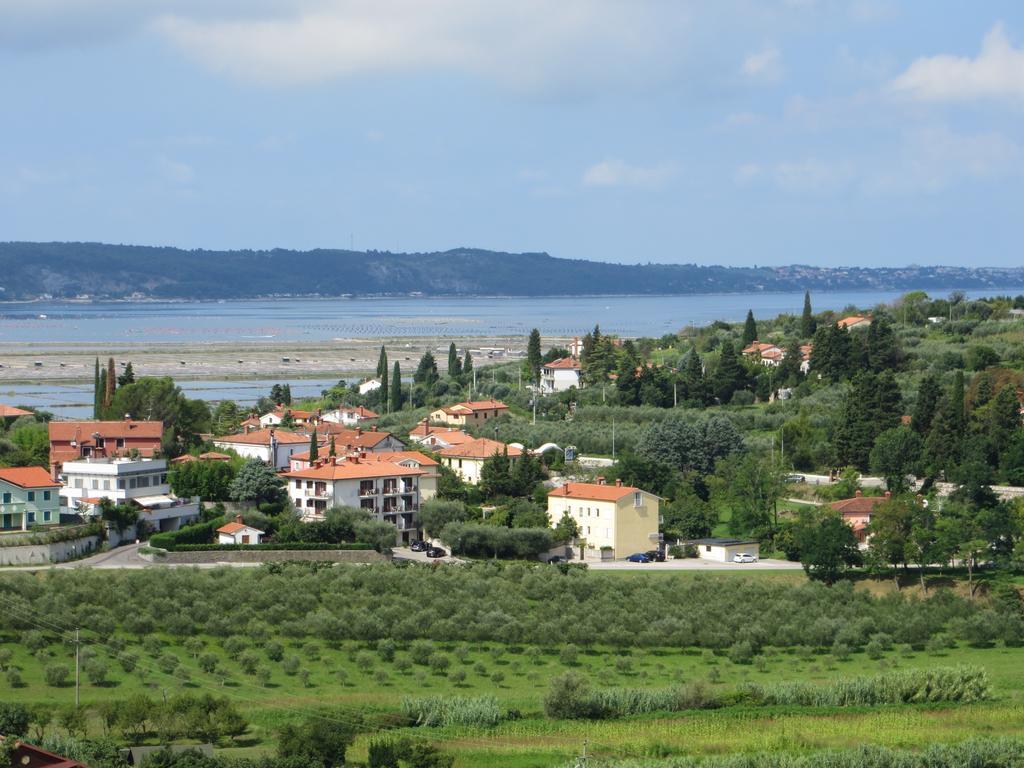 B&B Kovac Πορτορόζ Εξωτερικό φωτογραφία